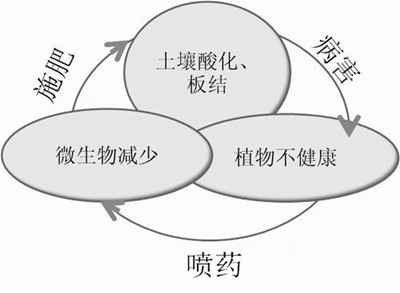 化肥不等于科學(xué)，請(qǐng)客觀評(píng)判！